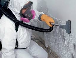 Trusted Annetta, TX Mold Remediation Experts